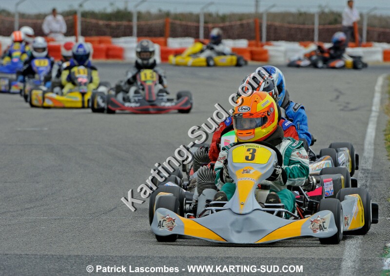 _DSC3748 copie.jpg